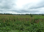 18278P1000114.JPG