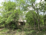 29585IMG_5152.JPG