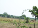 517523042008(23).JPG