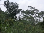 47910CIMG4247.JPG