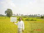 11371gt154-cropland-1.jpg