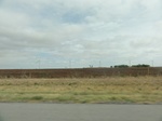 35948DSC02718.JPG