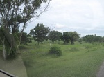 26677IMG_2987.JPG