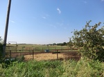 55401CIMG1989.JPG