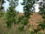 53445CIMG6778.JPG