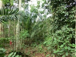 46041CIMG0330.JPG