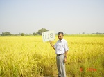 11307gt108-cropland-1.jpg