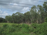 33303IMG_5639.JPG
