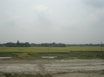 21774DSC08349.JPG