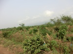 50427CIMG1056.JPG