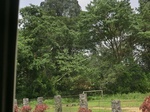 49258CIMG5595.JPG