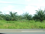 25888P1020307.JPG