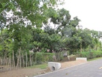 29587IMG_5154.JPG