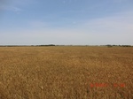 29655CIMG0931.JPG