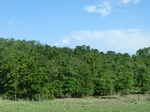 30095CIMG0038.JPG