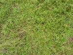 18583P1000420.JPG