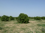 19119P1000964.JPG