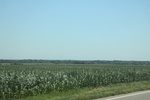 2024-06-17_21-39-41_25420145-2981-4441-AA35-3EFE20B1360F.jpeg