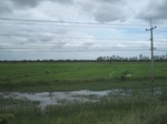 33249IMG_5579.JPG