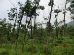 53683CIMG7072.JPG