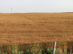 29770CIMG1104.JPG
