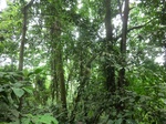 45118CIMG2203.JPG