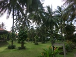 30928CIMG0788.JPG