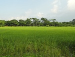 24579DSC00796.JPG
