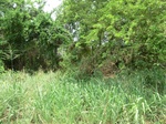 43715CIMG0497.JPG
