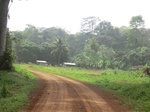 51080CIMG4801.JPG