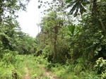 47069CIMG3406.JPG
