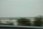 2024-08-05_16-08-52_81484A02-53A8-497E-9705-98C7B4976495.jpeg
