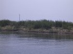 1569R0015234_small.jpg