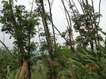 53360CIMG6655.JPG