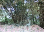 49213CIMG5550.JPG