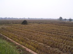 3242R0017276.JPG