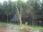 33659IMG_5855.JPG