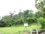 16139IMG_4884.JPG