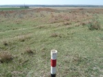 29208CAMA20110414S.JPG