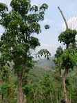 53750CIMG7150.JPG