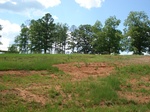 32482p144.jpg