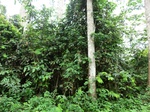46027CIMG0316.JPG