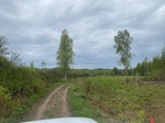 2025-05-21_10-09-13_IMG_7934.jpeg