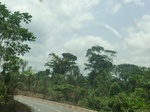 49419CIMG5756.JPG