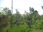 33355IMG_5695.JPG