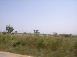 9045RIMG0123.JPG