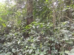 46838DSC02177.JPG