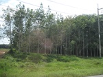 33677IMG_5883.JPG