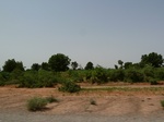 18987P1000831.JPG