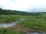23824P1040907.JPG